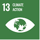 icon sustainability 13